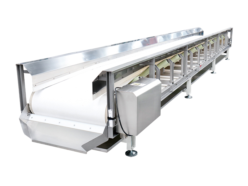 stainless steel belt conveyor
