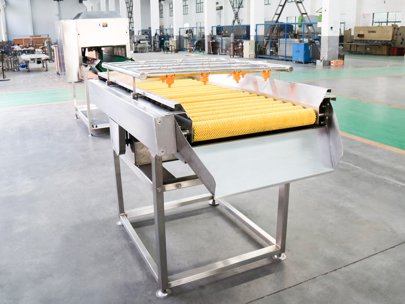 Roller conveyor line