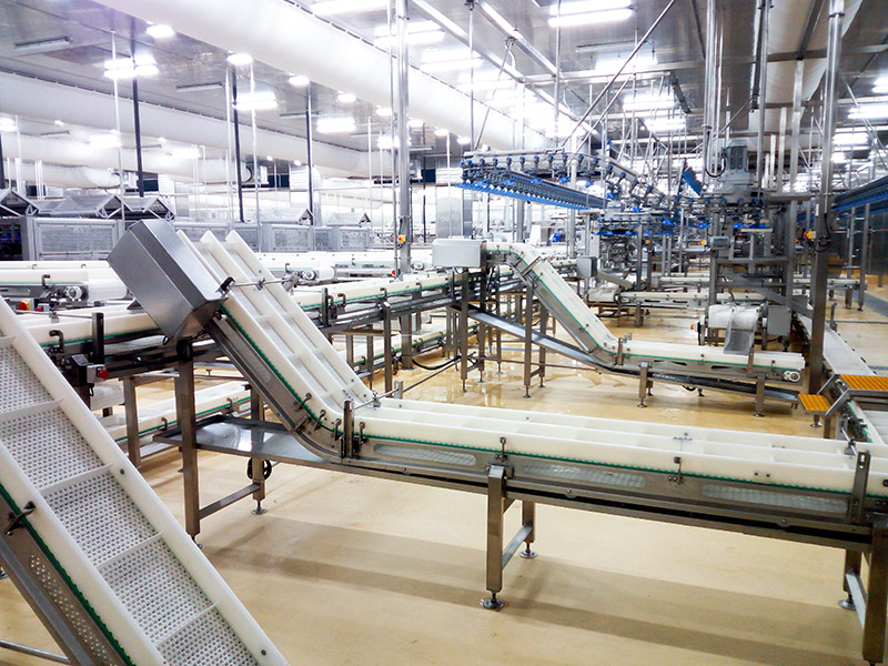 Modular Plastic Belt Conveyor