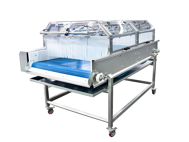 Modular Plastic Belt Conveyor
