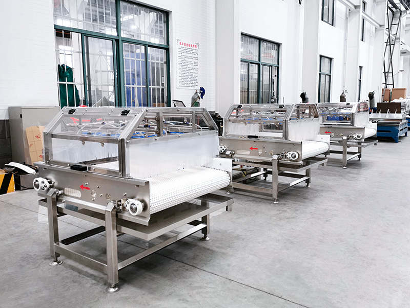 Modular Plastic Belt Conveyor