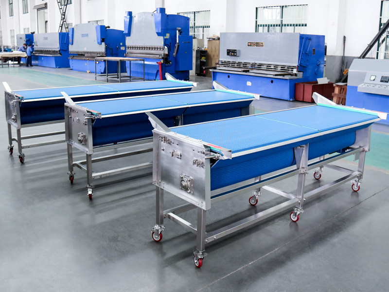 Modular Plastic Belt Conveyor