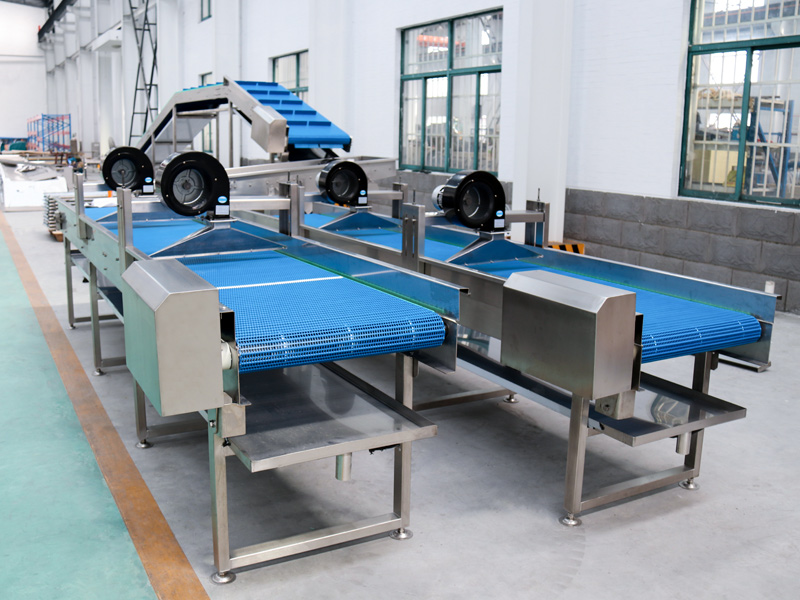 Modular Plastic Belt Conveyor