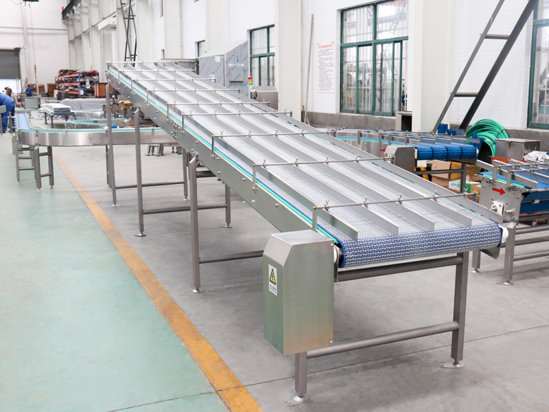 Modular Plastic Belt Conveyor