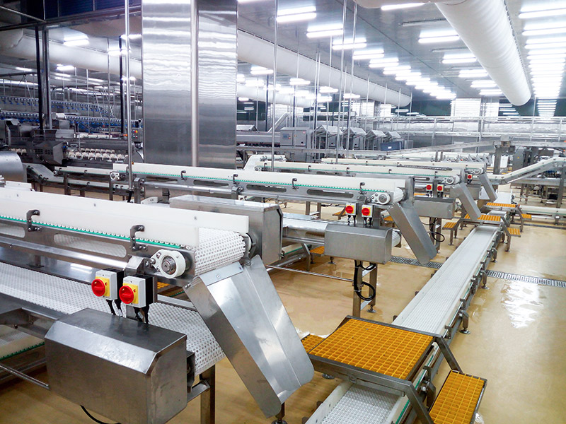 Modular Plastic Belt Conveyor