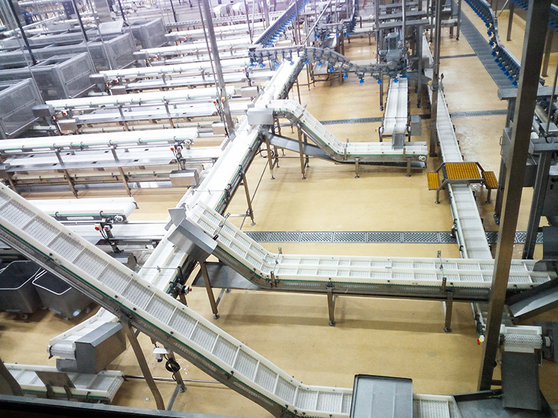 Modular Plastic Belt Conveyor