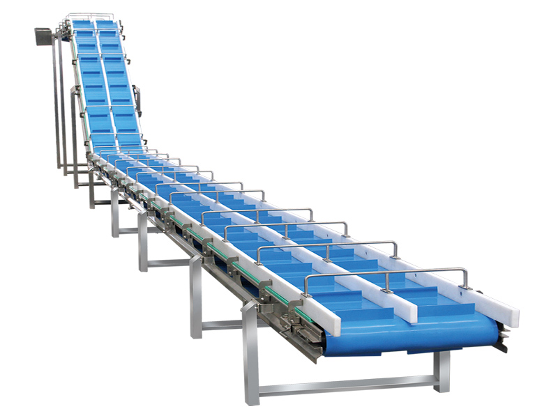 Belt conveyor line