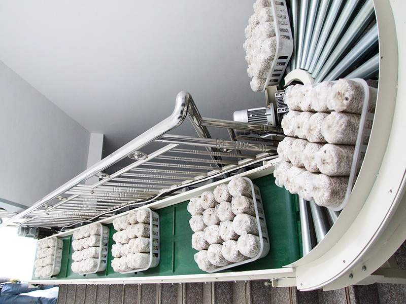 Belt conveyor line