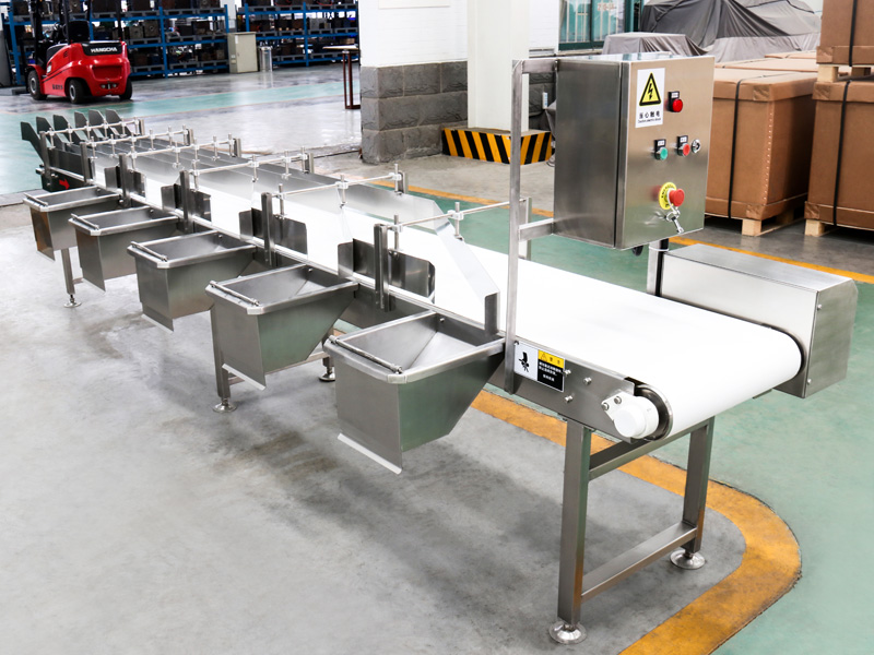 Belt Conveyor line
